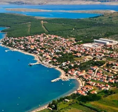 Mulo * Vrsi