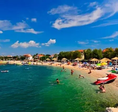 Mulo Vrsi